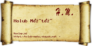 Holub Máté névjegykártya