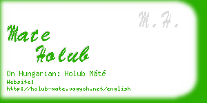 mate holub business card